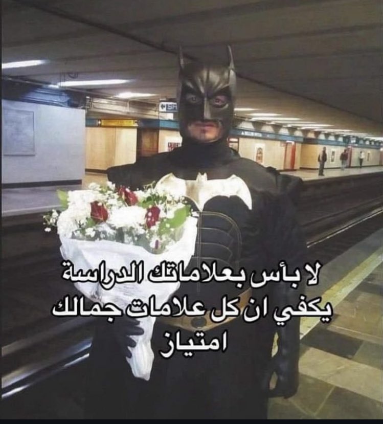 d i m a 𓂆 (@dimbeingdelulu) on Twitter photo 