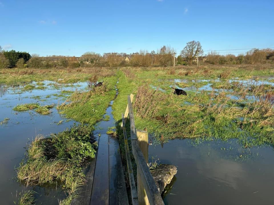 Yeah so what’s the problem with building 100 houses here?