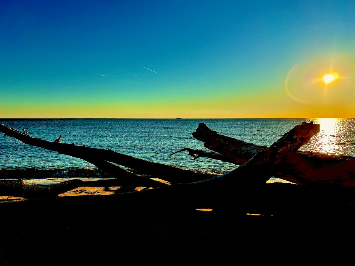mobymaybe's tweet photo. quickly, before the sun breaks β¨
What I wish for you is that your thoughts live wild, tossed on each breath of the sea, waiting for the sun to break β¨πβοΈ
#psmoby https://t.co/TfXySODOa7