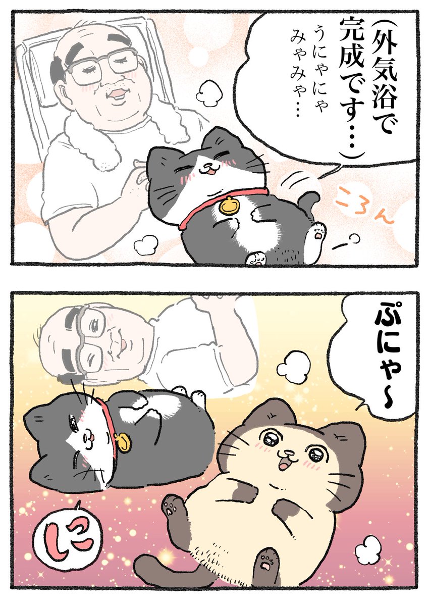 ねこおじ様 ねこに転生したおじさん。その599