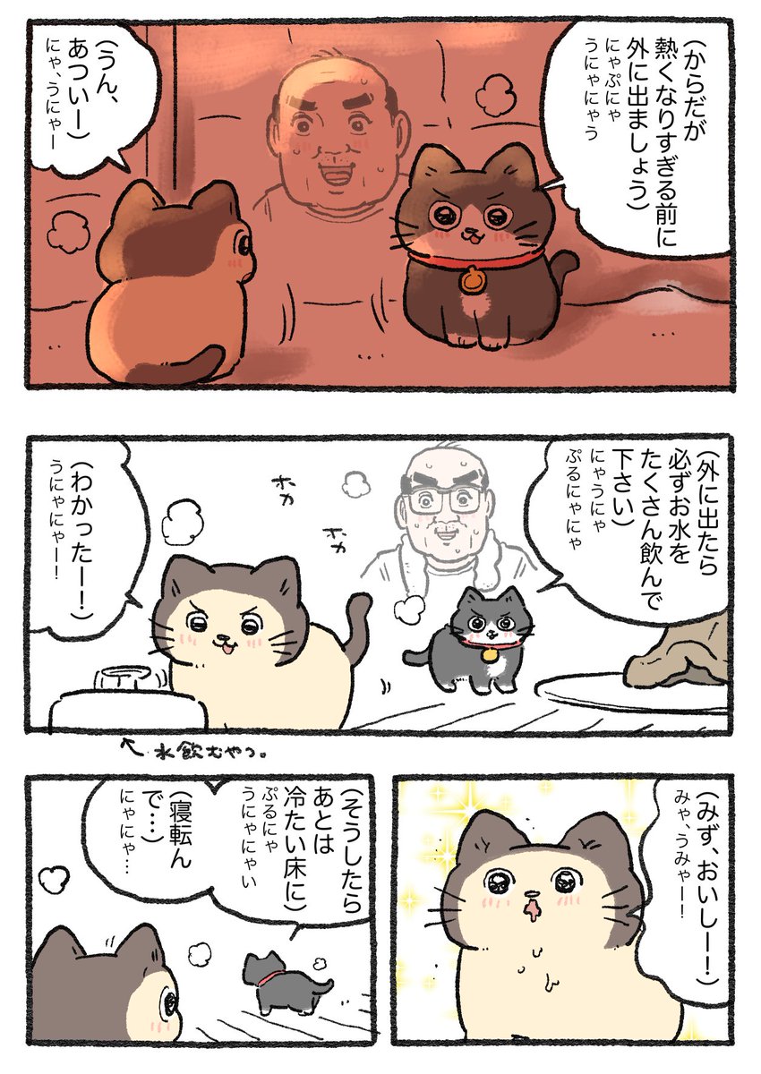 ねこに転生したおじさん。その599