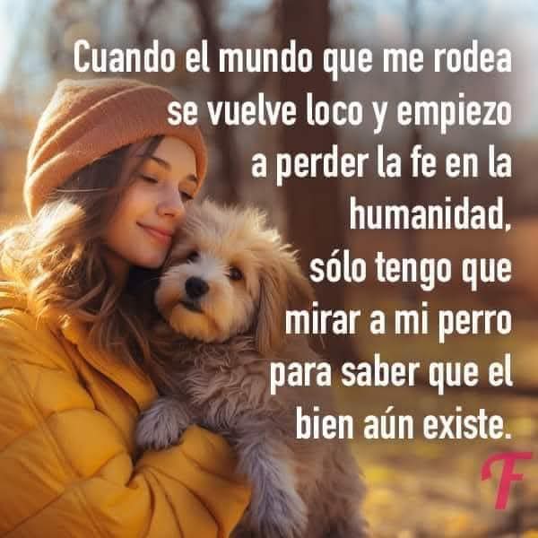 Buenos días Feliz inicio de semana ✨💖