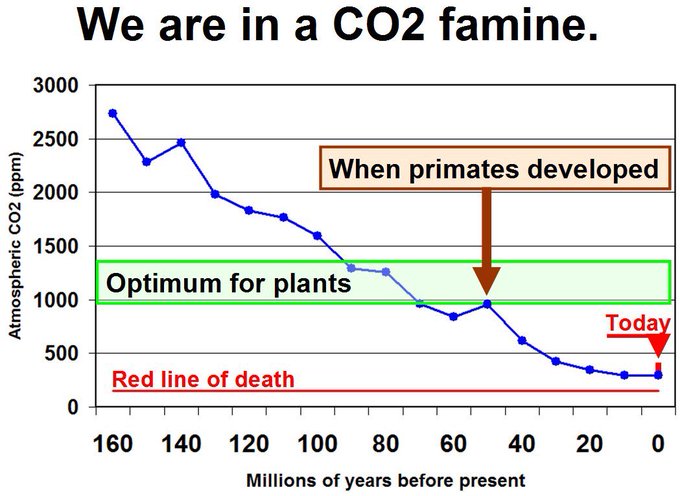 MaineUltraMaga's tweet photo. @wideawake_media "Net zero" is for the death cult and retards that will believe anything.
CO2 is a trace gas, comprising a mere 0.04% of our atmosphere. At 0.02%, plant live dies, destroying the entire food chain.
WE are the carbon they want to reduce to zero. https://t.co/xOyNGeasnd