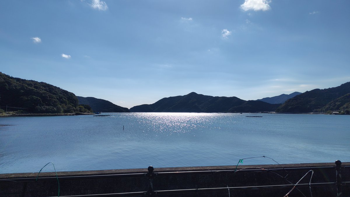 甘木@欅道居士 tweet media