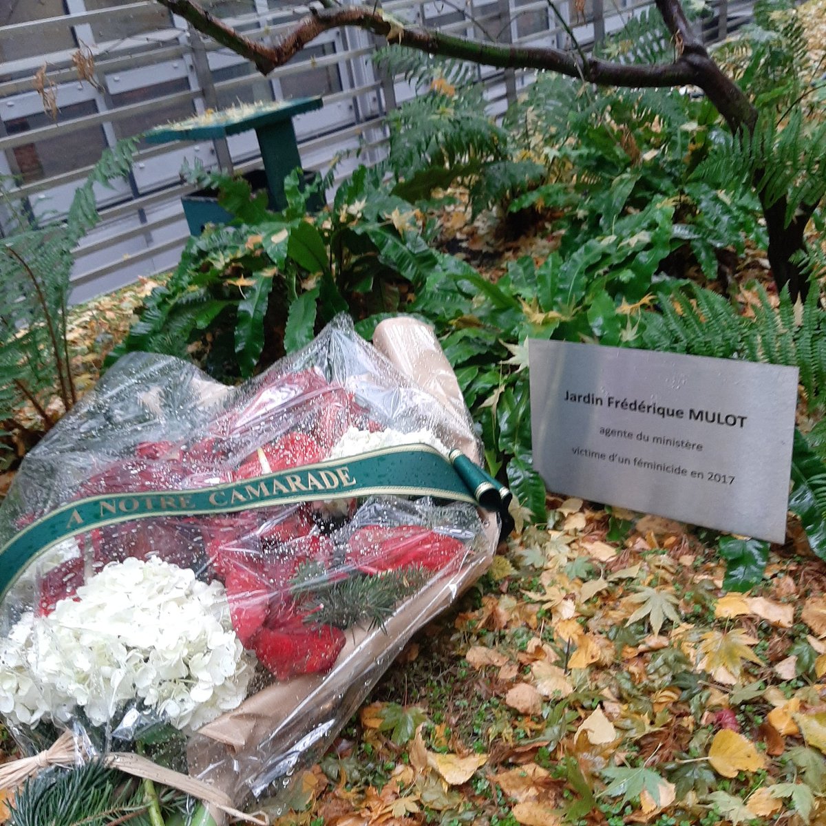 #25novembre Femmage de la <a href="/cgt_culture/">CGT-Culture</a> au <a href="/MinistereCC/">Ministère de la Culture 🇫🇷</a> à notre collègue et camarade Frédérique Mulot victime d'un féminicide en 2017