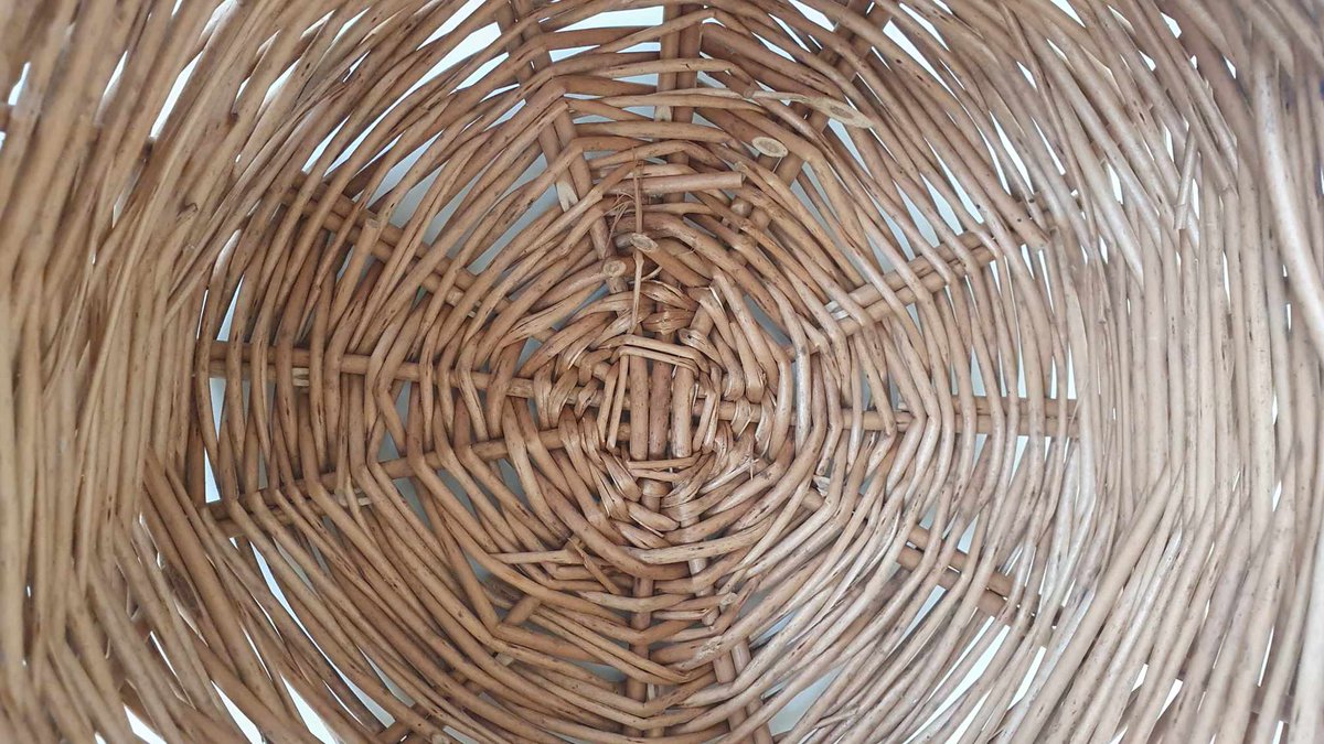 Sustainable Life tweet media