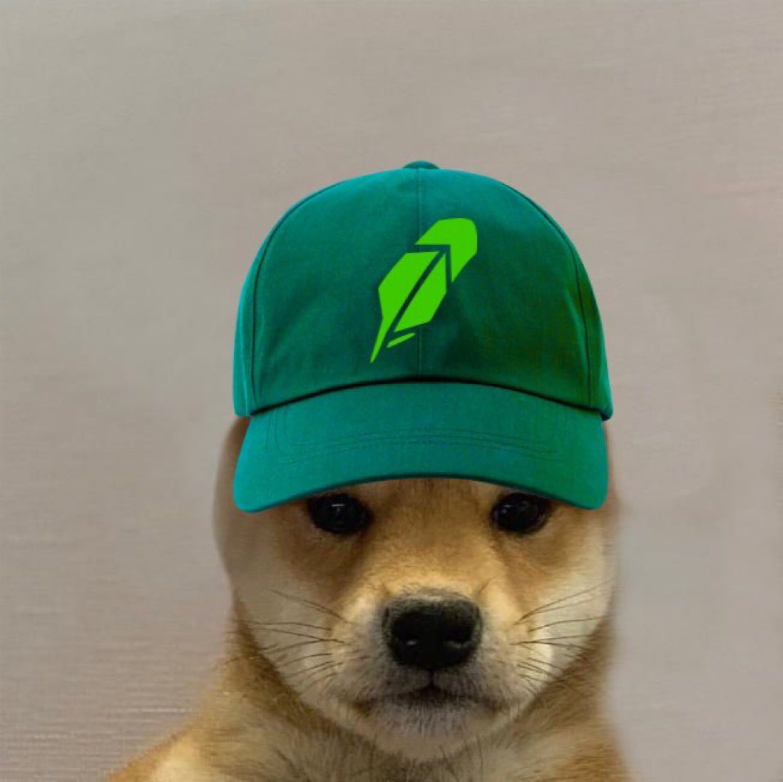 blknoiz06's tweet photo. hat stays on $WIF https://t.co/0omSYOlcmG