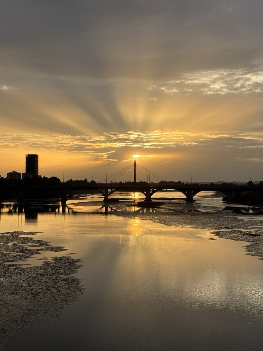 Sa'ad al-Malik ☭🇵🇸 tweet media