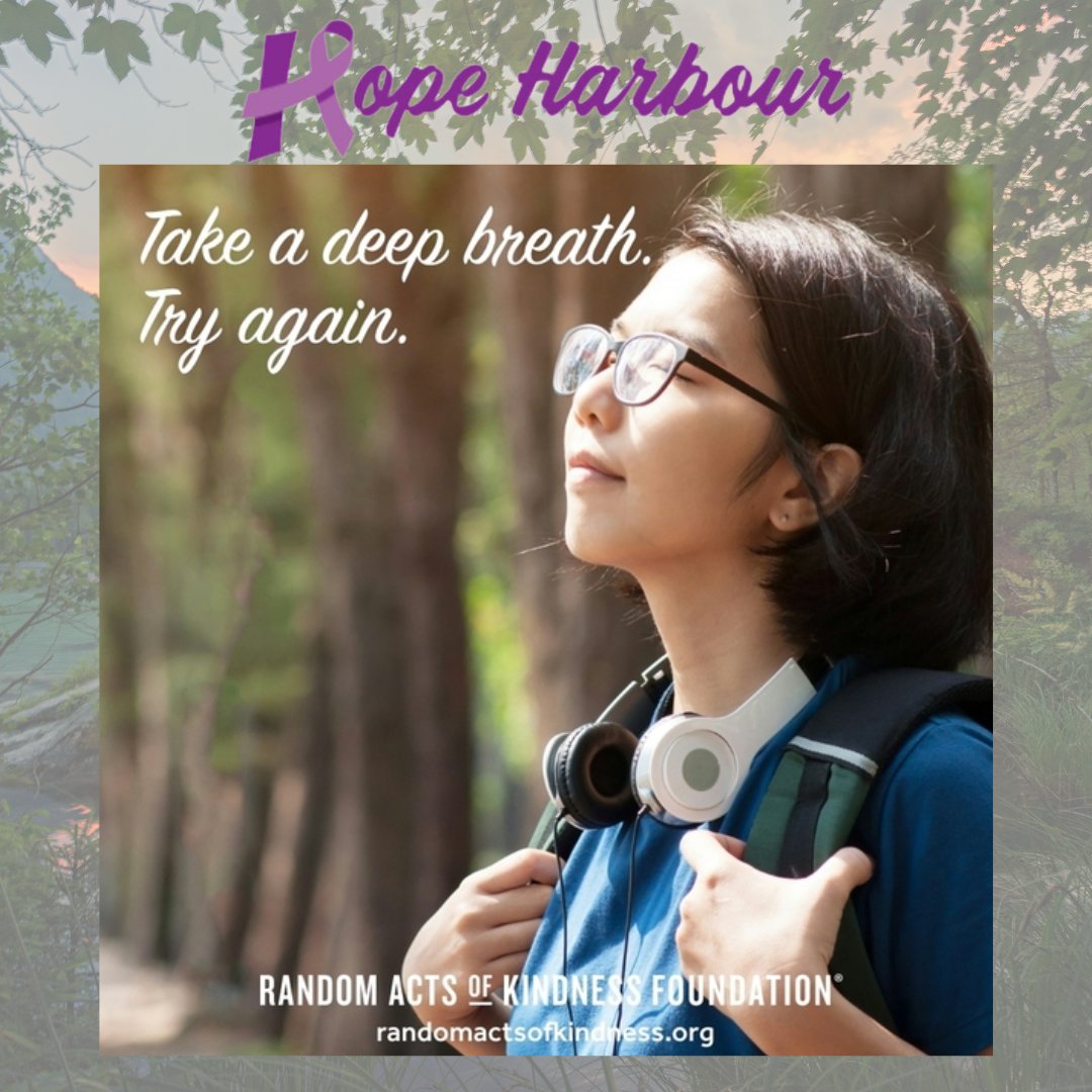 Hope Harbour tweet media