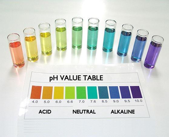 claritystdlab's tweet image. 💧 Why Does pH Matter? 💧

pH is a key indicator of water quality, impacting safety, ecosystems, and industrial processes! 

At Clarity Standards Lab, we deliver precise pH testing to ensure compliance and protect what matters most. 

#WaterQuality #pHTesting #ClarityStandards