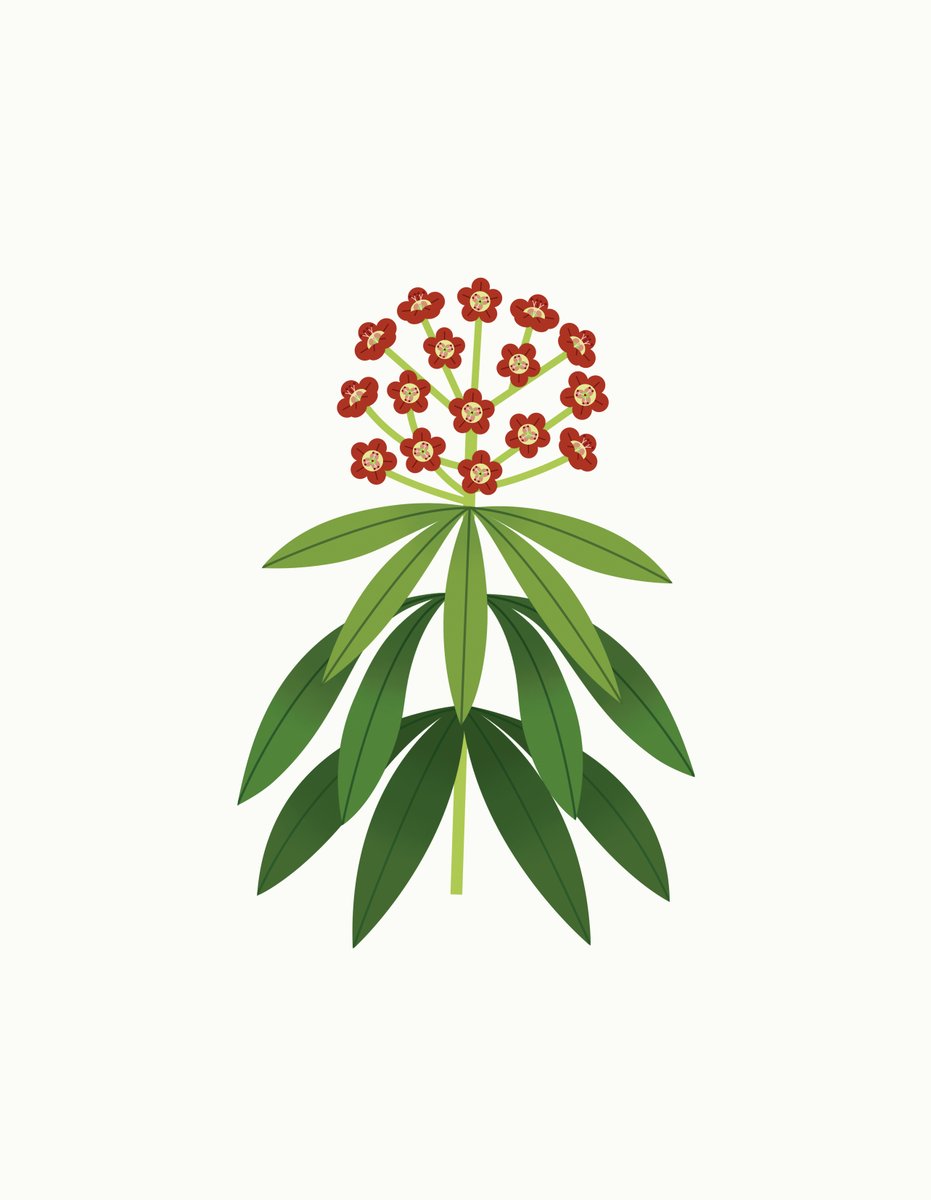 Sarah Abbott tweet media