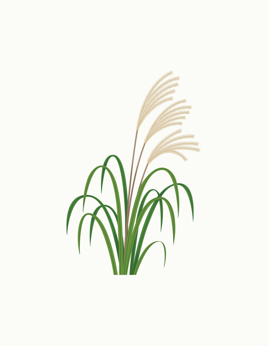 Sarah Abbott tweet media