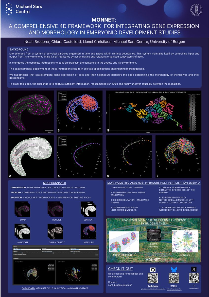 Noah Bruderer (@noahbruderer) on Twitter photo Find me at #CBIAS2024 in London!
Come to chat about image-to-single-cell morphology and how morphosnaker 🧊🐍🧊 can help.
Also come to play around with our virtual embryo.
#morphosnaker #singlecell #morphology <a href="/The_CBIAS/">Crick BioImage Analysis Symposium</a> Find me at #CBIAS2024 in London!
Come to chat about image-to-single-cell morphology and how morphosnaker 🧊🐍🧊 can help.
Also come to play around with our virtual embryo.
#morphosnaker #singlecell #morphology <a href="/The_CBIAS/">Crick BioImage Analysis Symposium</a>