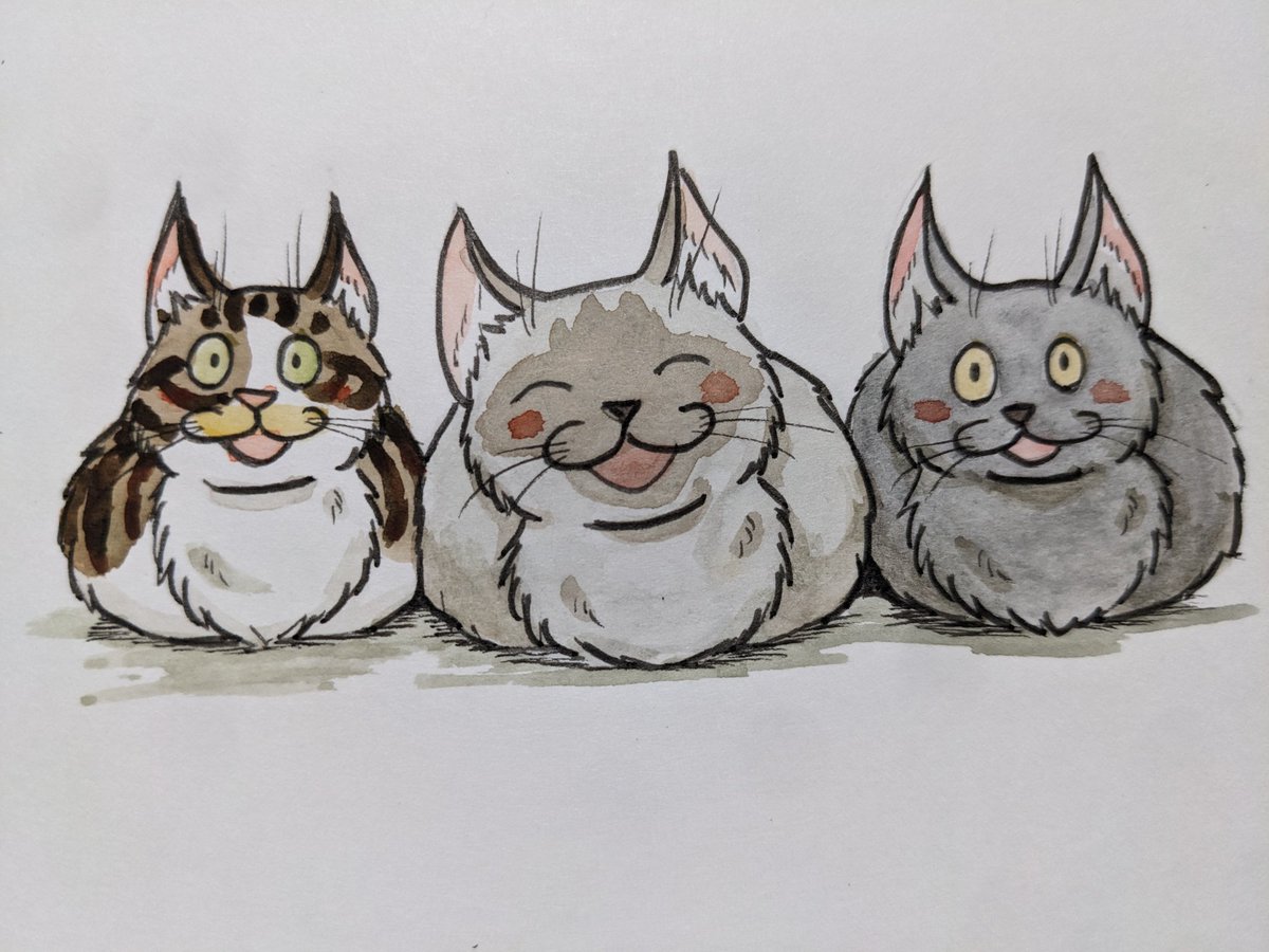 The bread was baked light and fluffy.
🍞 #pasericat 🍞