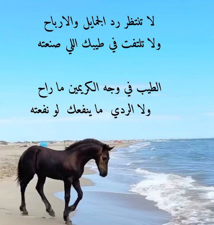 khalid tweet media