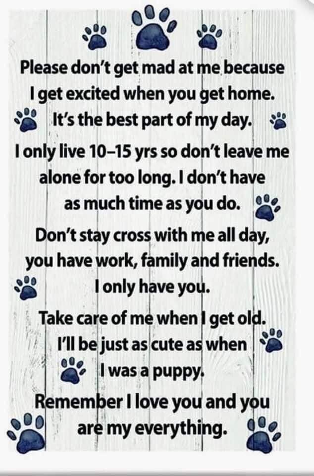 _XDogs's tweet photo. https://t.co/KAsiIVAHmm