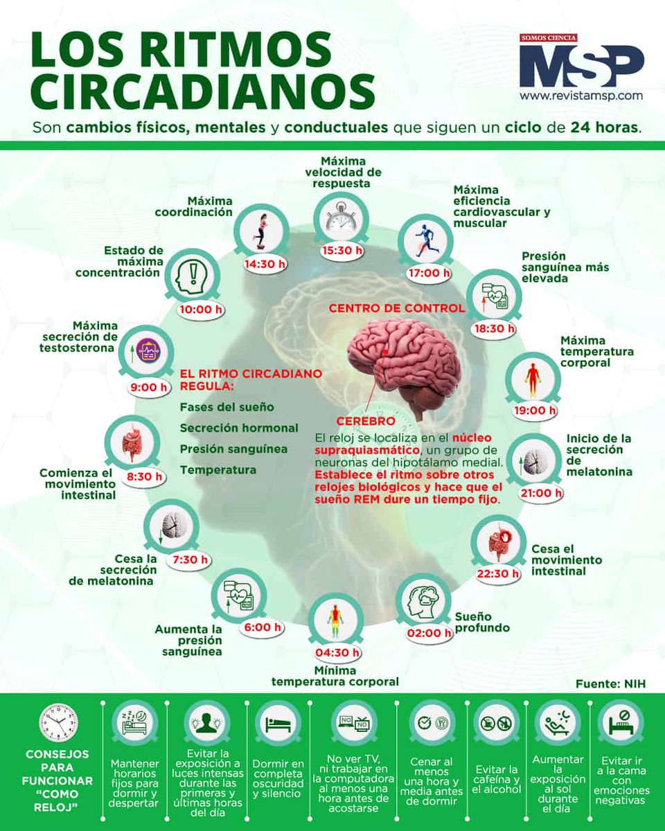 virginiog's tweet image. Nuestra productividad depende de un "reloj biológico interno ": los ciclos circadianos

Se trata de planificar nuestra actividad en función de este sistema interno que controla ritmos biológicos y nuestro nivel de alerta lo que ayuda a maximizar nuestra energía