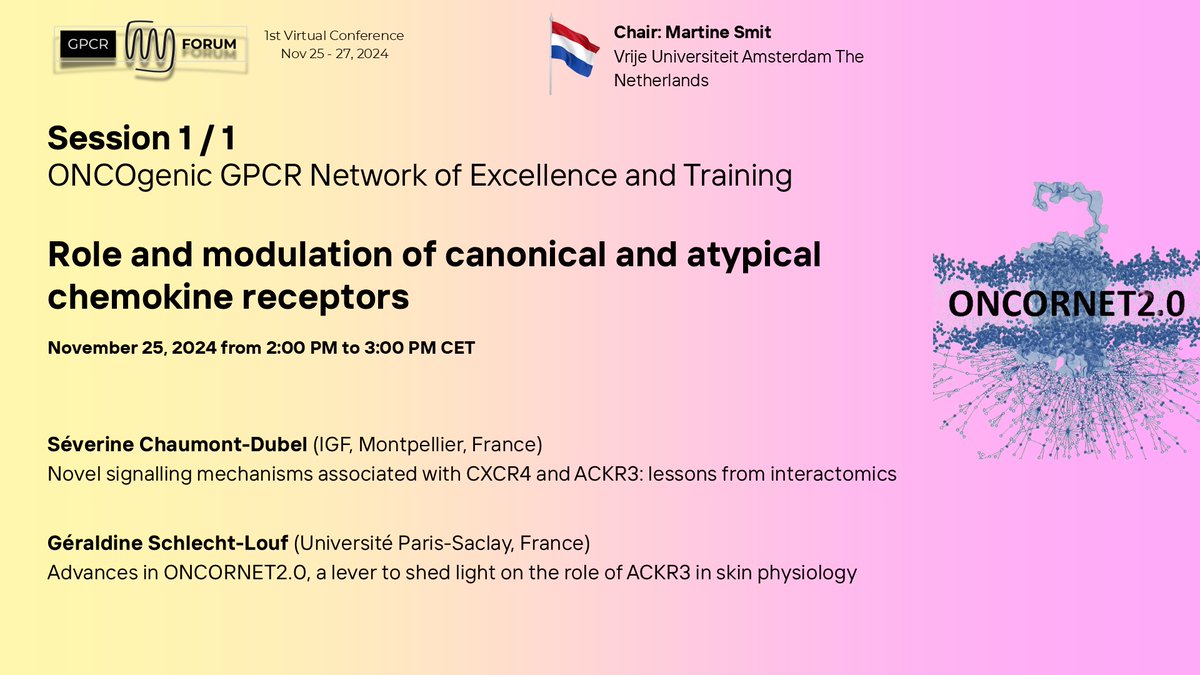 🚨 It’s happening NOW! 🚨 Don’t miss the <a href="/ONCORNET1/">ONCORNET2.0</a> session where we dive into the fascinating world of CXCR4 and ACKR3 receptors! 🔬✨ Join the conversation and expand your #GPCR knowledge. 💡 #GPCRForum