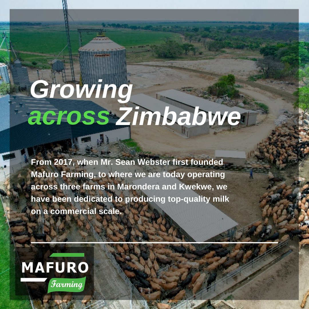Mafuro Farming tweet media