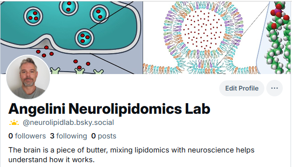 Neurolipidlab's tweet photo. Moving to bluesky! We'll delete shortly after removing some useful stuff. See you there. https://t.co/jR6pka71er