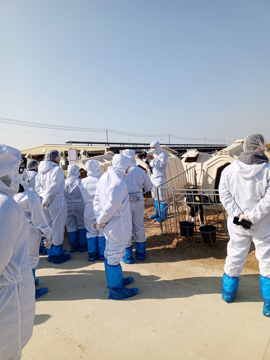 Mungongo8's tweet photo. It was a pleasure to take part in this #RENOFARMworkshop to reduce the Need for AMR🦠on Farms for better production, better nutrition,better environment and a better life #ONEHealth  also an opportunity to establish new connections @FLarfaoui 
@KabaliEmmanuel
 . https://t.co/i63IqgpQbX