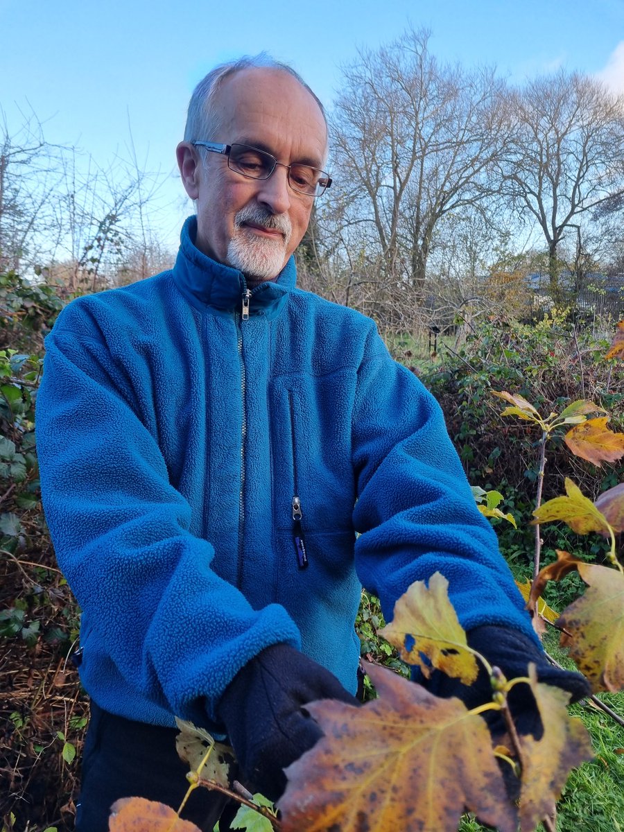 fruitnutvillage's tweet photo. It's #NationalTreeWeek and we've been working with and admiring some beautiful examples down at #KingdomForestGarden this morning. #StartTheWeek #Stirchley #STCommunityFund #TreeWeek https://t.co/4bkyMi8L4a