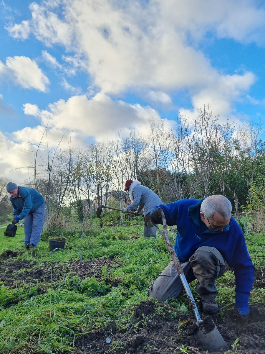 fruitnutvillage's tweet photo. It's #NationalTreeWeek and we've been working with and admiring some beautiful examples down at #KingdomForestGarden this morning. #StartTheWeek #Stirchley #STCommunityFund #TreeWeek https://t.co/4bkyMi8L4a
