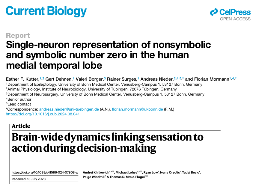 CatalunIACoop's tweet photo. 🧠 Sabies que el teu cervell és capaç d'entendre el "no-res" i convertir-lo en acció?

🤓Descobreix com transforma percepcions en decisions amb una precisió fascinant i què revela això sobre la nostra cognició complexa. 🚀 No t’ho perdis!

👉 Llegeix l'article complet aquí: https://t.co/83vfwuzE16

🗨️ Enllaç comunitat IA generativa: https://t.co/F9GJYMSdcY

#Neurociència #ConcepteDeZero #PercepcióIAcció