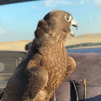 s6junibi's tweet image. #NewProfilePic