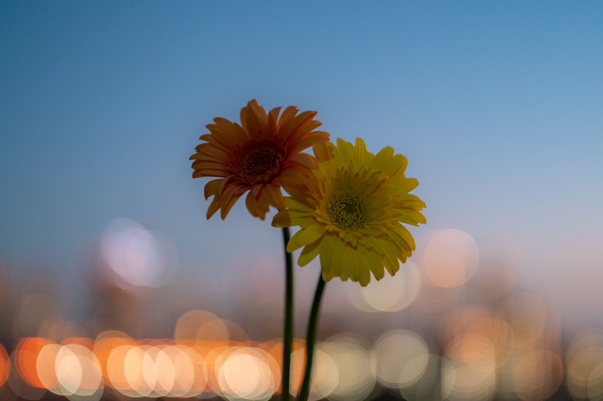 愛しい毎日がこの先も続きますように。