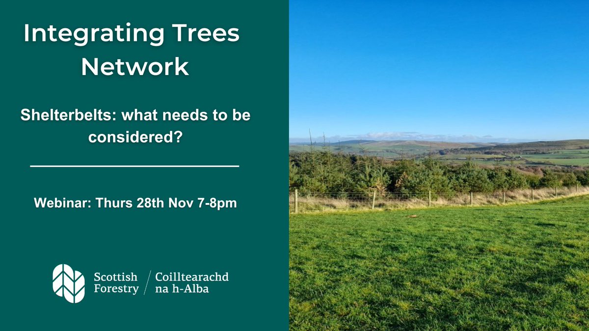 📢This Thursday 28 Nov📢

Join us for this #IntegratingTreesNetwork webinar about the benefits of creating woodland shelterbelts on farms and crofts.   We have farmers Andrew Adamson and Donald Barrie, with crofter <a href="/philknott83/">Phil Knott</a> talking.  

Free booking: tickettailor.com/events/integra…