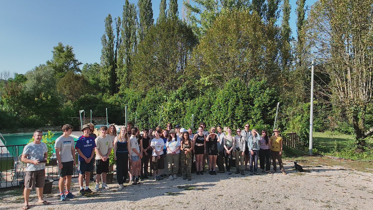 Merops Field Studies tweet media