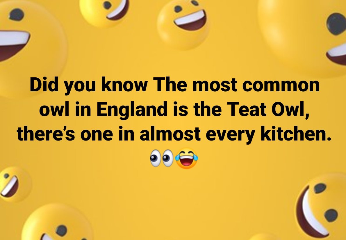 Yorkshire Victor Meldrew+his dog tweet media