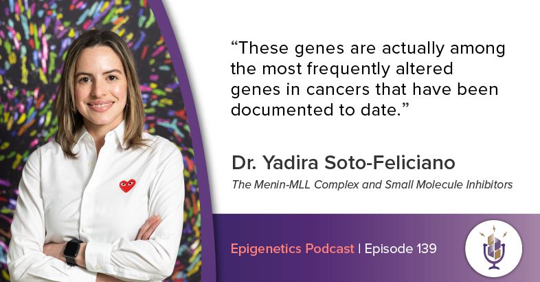 epigenetics_pod's tweet image. In the most recent episode we talked with Yadira Soto-Feliciano from MIT about her work on the Menin-MLL complex and the effect of small molecules on its stability in leukemia. #podcast #epigenetics #chromatin
Listen here: activemotif.com/podcasts-yadir…