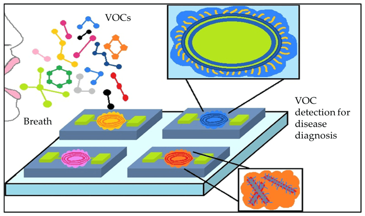 chemosens_MDPI's tweet image. Editor’s Choice
#Review
The Role of Nano-Sensors in Breath Analysis for Early and Non-Invasive Disease Diagnosis by Nefeli Lagopati, et al.
doi.org/10.3390/chemos…

@MDPIOpenAccess @uoaofficial @ntua @eapuni
#breathanalysis #nanobiosensors #sensors #nanomaterials