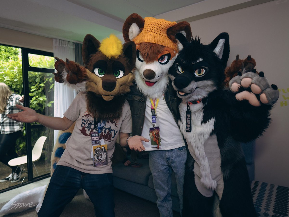 Bowie 🔜 FurDU tweet media