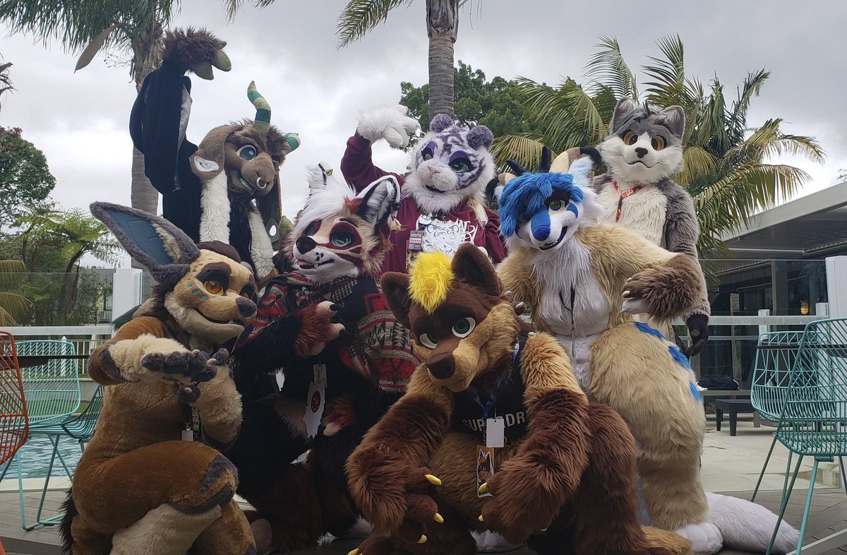 Bowie 🔜 FurDU tweet media