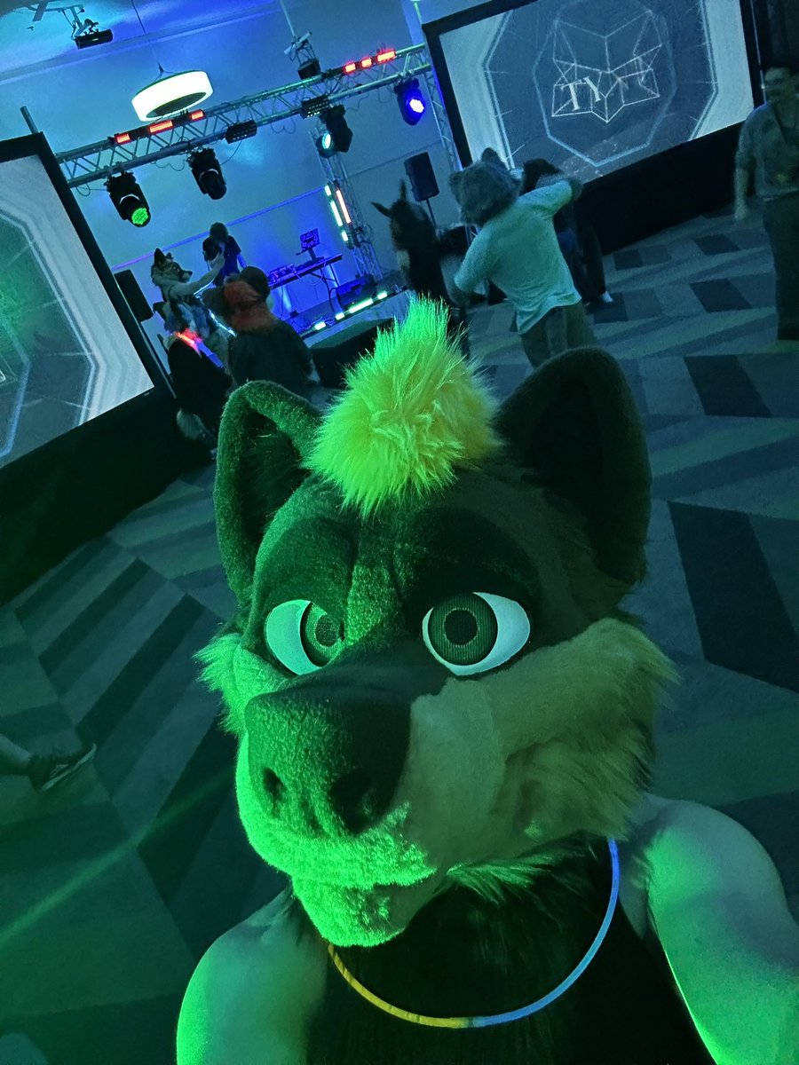 Bowie 🔜 FurDU tweet media