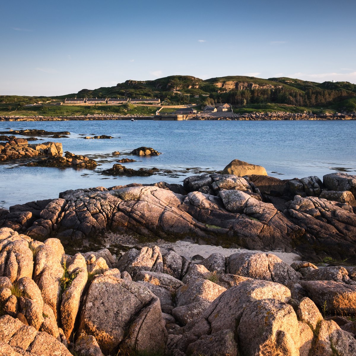 Christopher Swan tweet media