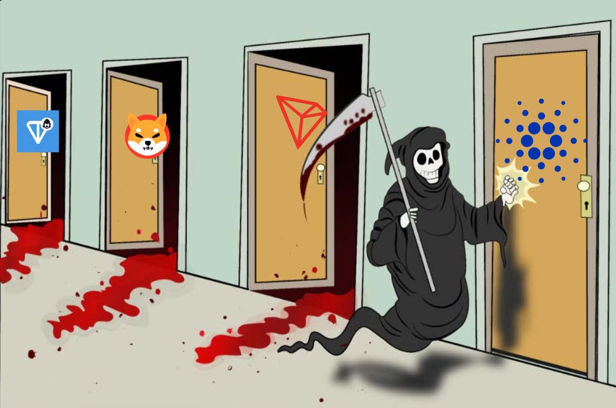 Joe Ferrara 🔺 tweet media