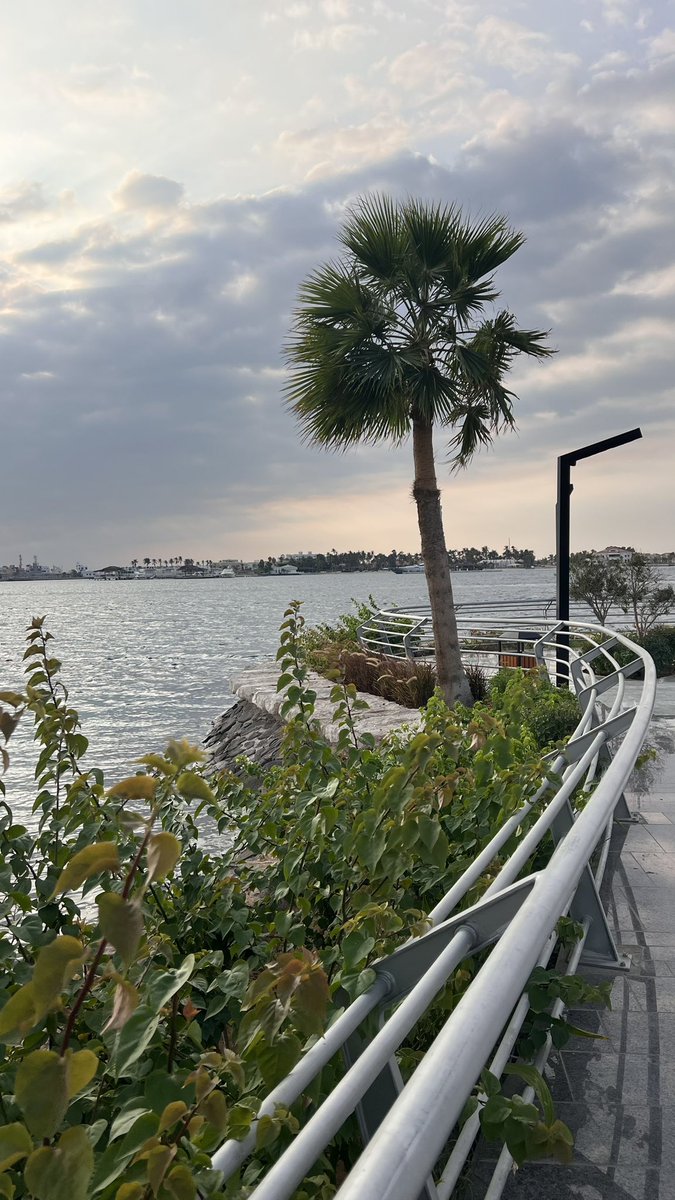 #جده_lلان
جمال فبراير وأجواء الشتاء في جدة