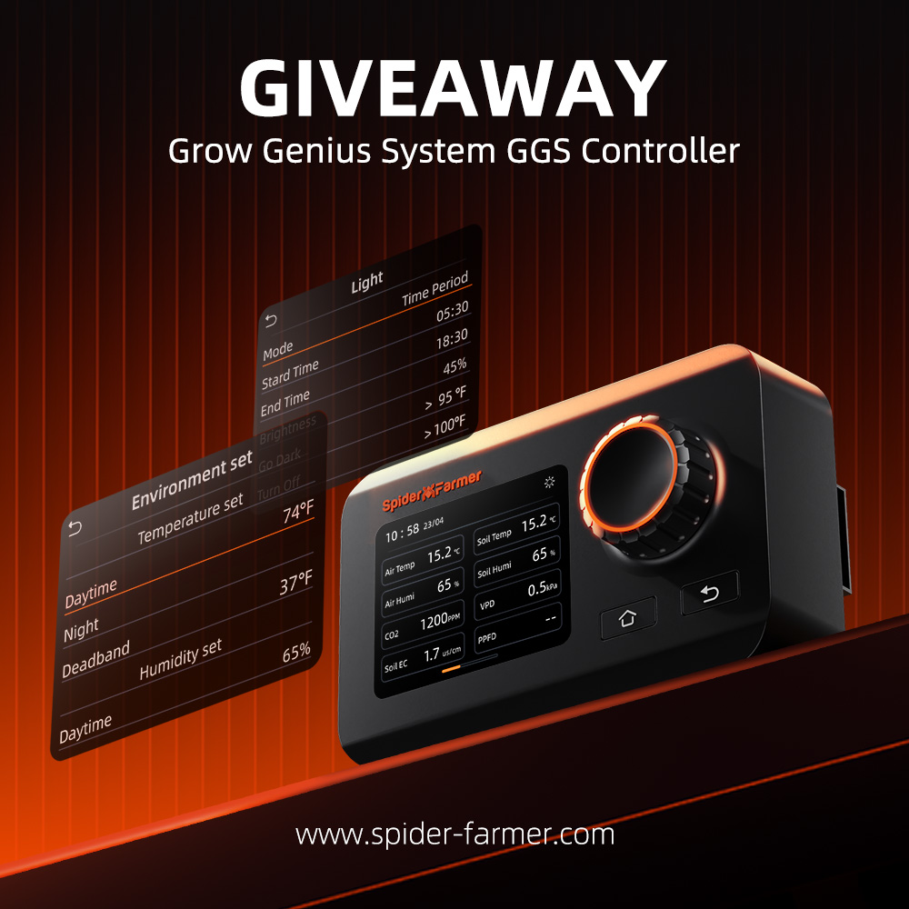 🎉Black Friday Giveaway!
Win our new GGS Controller! 🌱 
Control schedules, brightness, sunrise/sunset...
How to enter?
Comment:
"Spider Farmer 2024 Black Friday, Let’s Go!" 
on our blog👉spider-farmer.com/blog/spider-fa…
Good luck!
#spiderfarmer #Giveaway