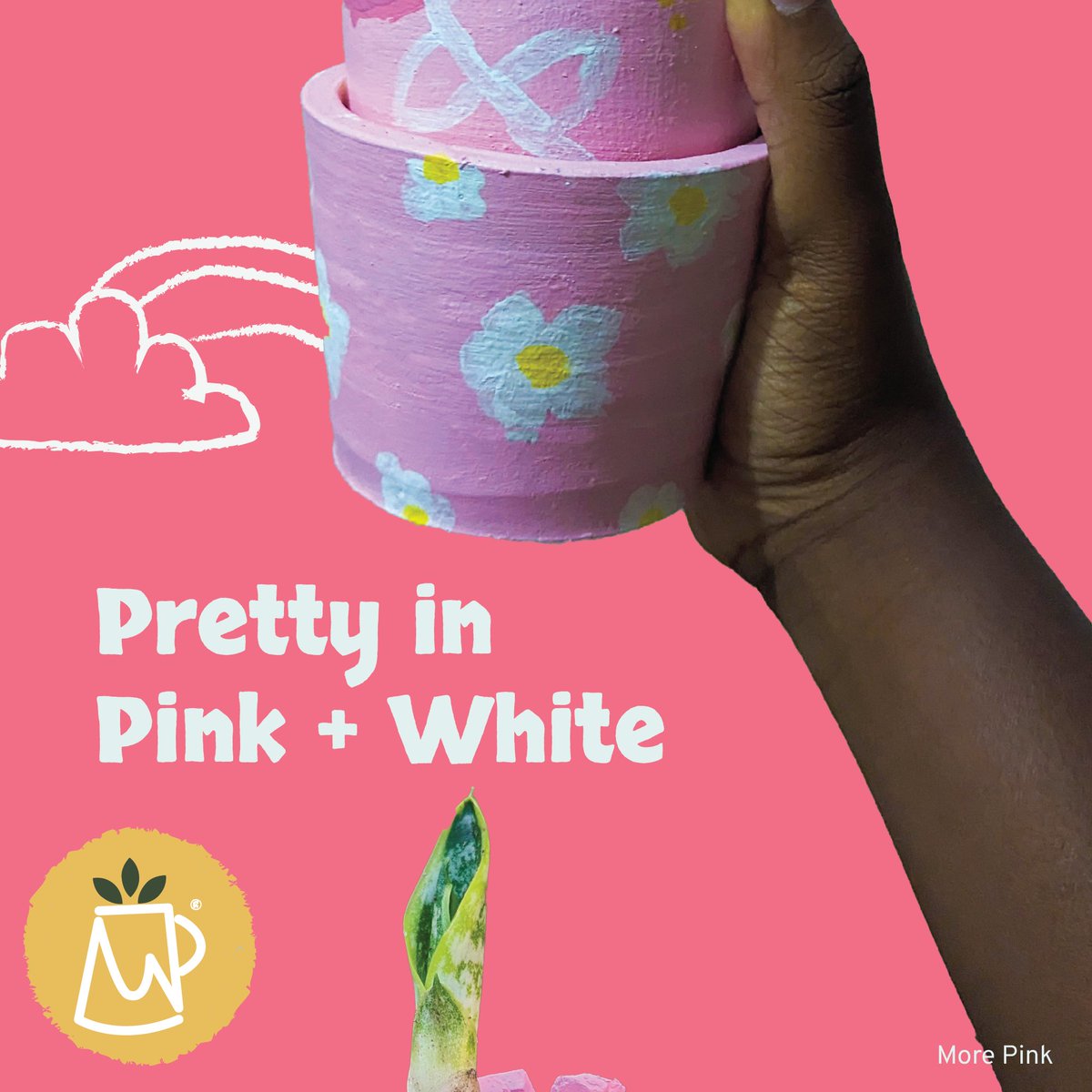 teepotsmw's tweet photo. Pink and White 🤍🩷 https://t.co/Sd5NhBUZQf