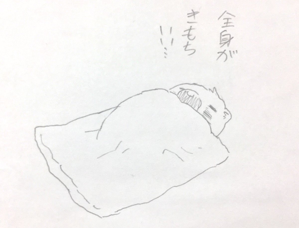 昨日 掛け布団だしたよ! 