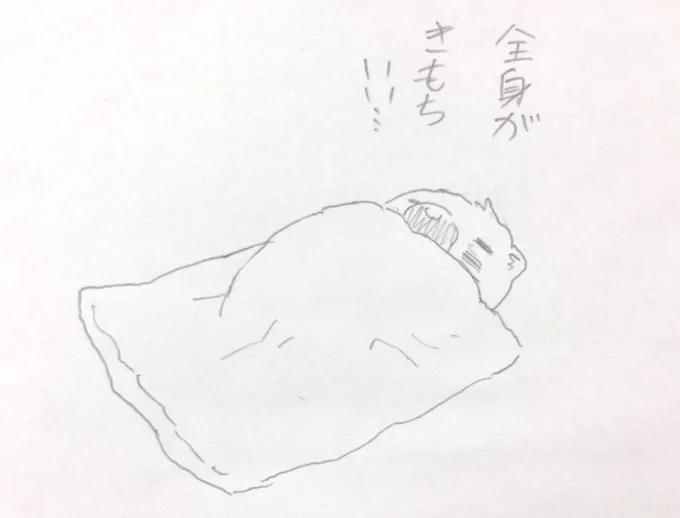 昨日 掛け布団だしたよ! 
