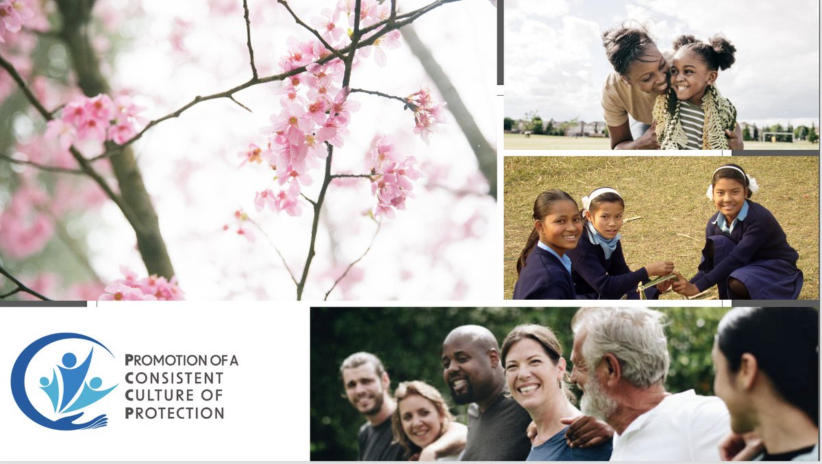 Today #25Nov, International Day for the Elimination of Violence Against Women, we reiterate our commitment to the elimination of abuse, promoting a consistent culture of protection for the wellbeing and flourishing of every girl and woman across the world! sjesjesuits.global/safeguarding/f…