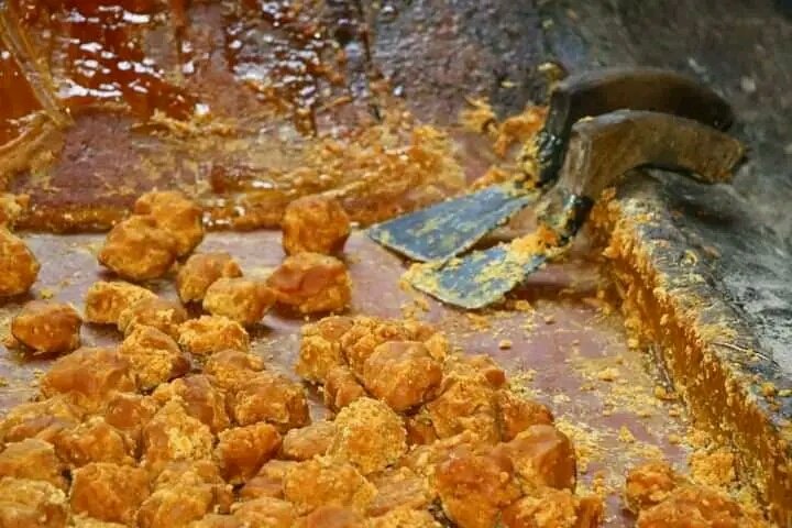 *د ⁧ځان⁩ ⁧بسيا ينې⁩ په لور!*

اوس د پاکستانۍ ګوړې پرځای خپله وطني ګوړه استعمال کړئ.

د ننګرهار کانال دولتي شرکت د درېیم فارم په ســیمه کې د ګنیو اته ګاڼې فعالې کړې دي، چې په شپه او ورځ کې نږدې `650 منه` ګوړه ورڅخه ترلاسه کـــيږي.