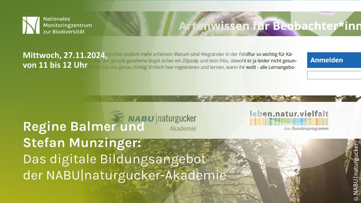 Sie möchten mehr über Natur- und Artenvielfalt wissen? Am Mittwoch wird das digitale Bildungsangebot der NABU|naturgucker-Akademie im kostenfreien Online-Vortrag um 11 Uhr vorgestellt.  
#artenkenntnis #Bildungsprogramm #Naturschutz  @NABU_Biodiv @BMUV 
bfn-event.webex.com/webappng/sites…
