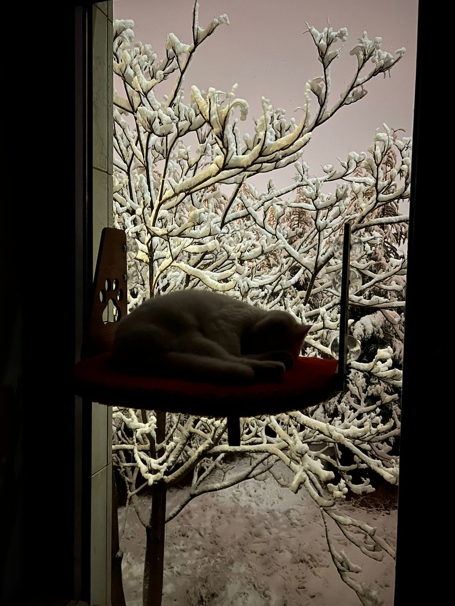 edagulkaracamd's tweet photo. That magical night❄️ https://t.co/tfvqO60Kqb