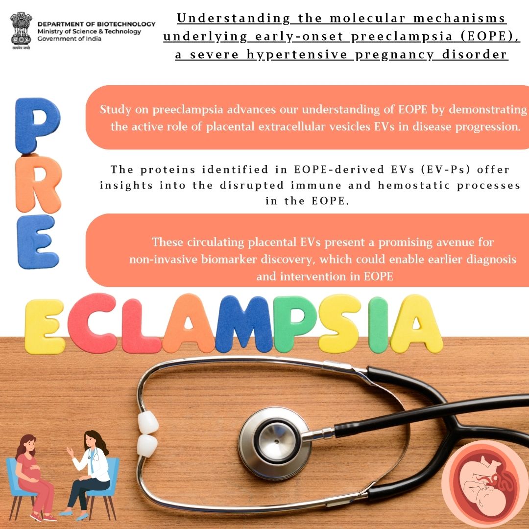 DBTIndia's tweet image. Research study shares valuable insights into the role of placental-derived extracellular vesicles #EVs as potential biomarkers for early onset preeclampsia disorder #EOPE 

#Maternalhealth #Preeclampsia #ChildHealth

@DrJitendraSingh @rajesh_gokhale @ICMRDELHI @icmrnirrch